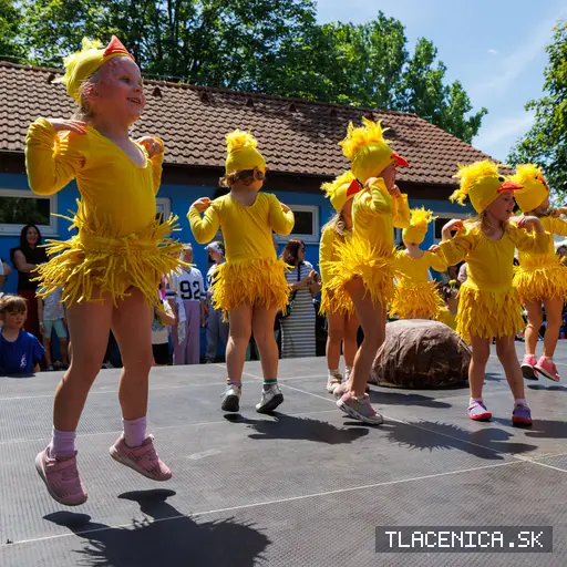 Fotka z galerie Deň detí Senec, nedeľa
