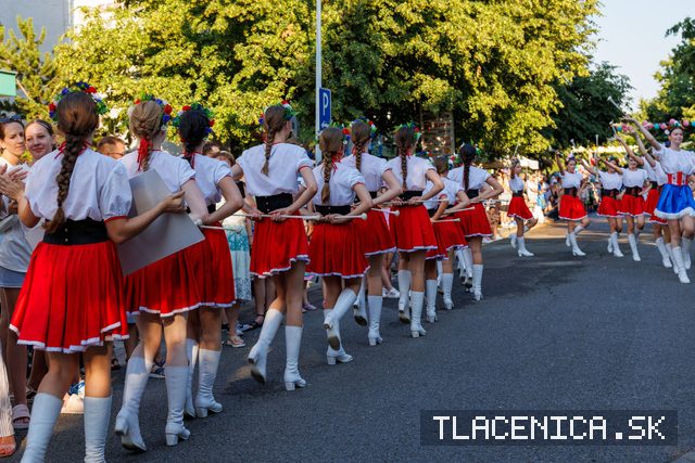 Fotka z galerie Veľký letný karneval 2026, Senec