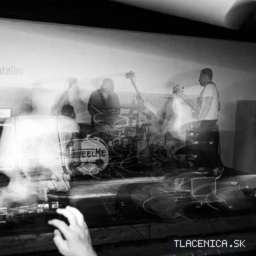 Fotka z galérie Sad LIVE! 2026