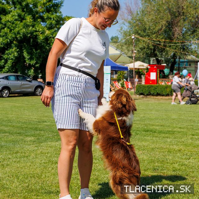 Fotka z galérie Deň detí Senec, sobota