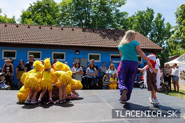 Fotka z galérie Deň detí Senec, nedeľa