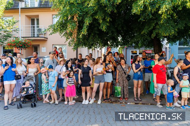 Fotka z galerie Veľký letný karneval 2026, Senec