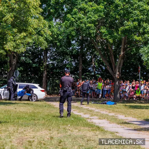 Fotka z galerie Deň detí Senec, nedeľa