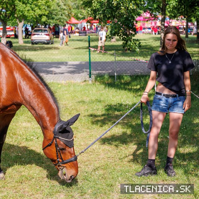 Fotka z galérie Deň detí Senec, sobota