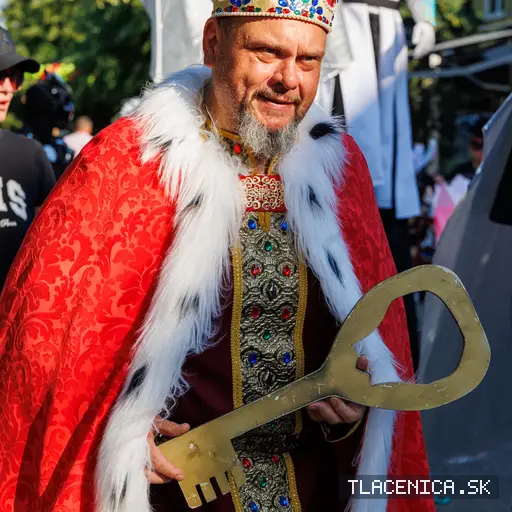 Fotka z galérie Veľký letný karneval 2026, Senec