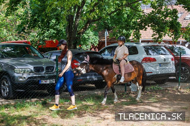 Fotka z galérie Deň detí Senec, sobota