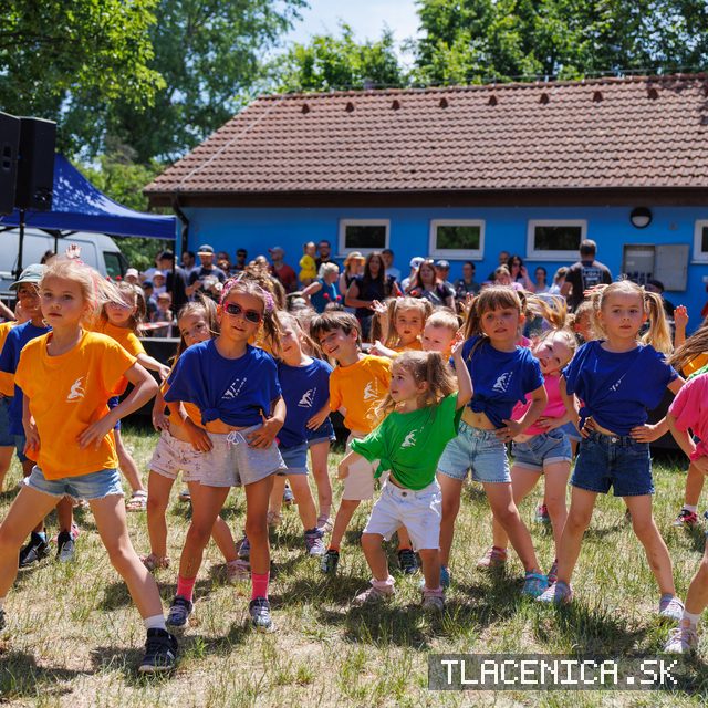 Fotka z galérie Deň detí Senec, nedeľa