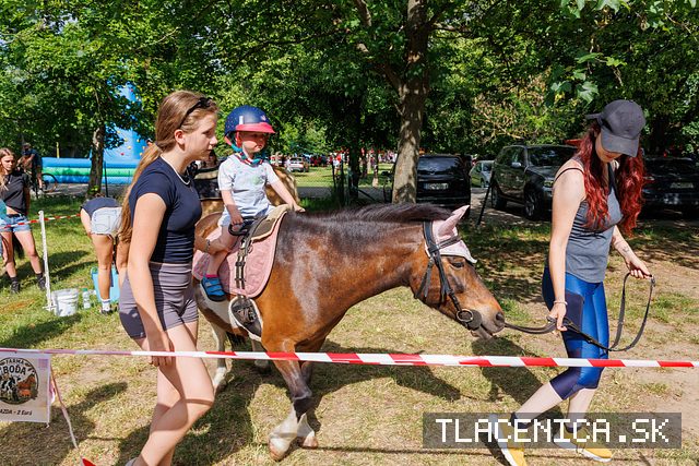 Fotka z galérie Deň detí Senec, sobota