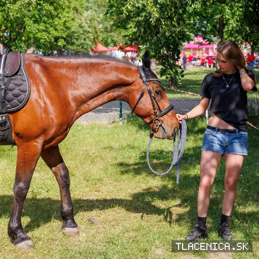 Fotka z galerie Deň detí Senec, sobota