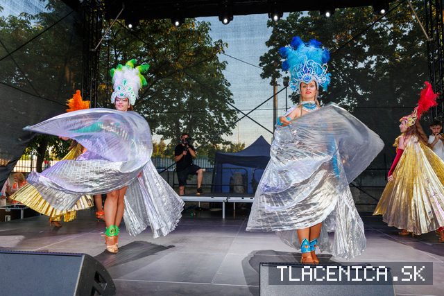 Fotka z galerie Veľký letný karneval 2026, Senec