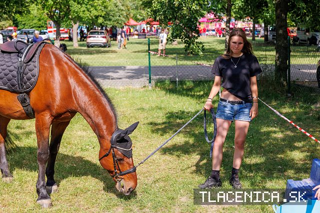 Fotka z galérie Deň detí Senec, sobota