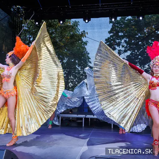 Fotka z galérie Veľký letný karneval 2026, Senec