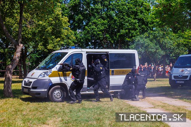 Fotka z galérie Deň detí Senec, nedeľa