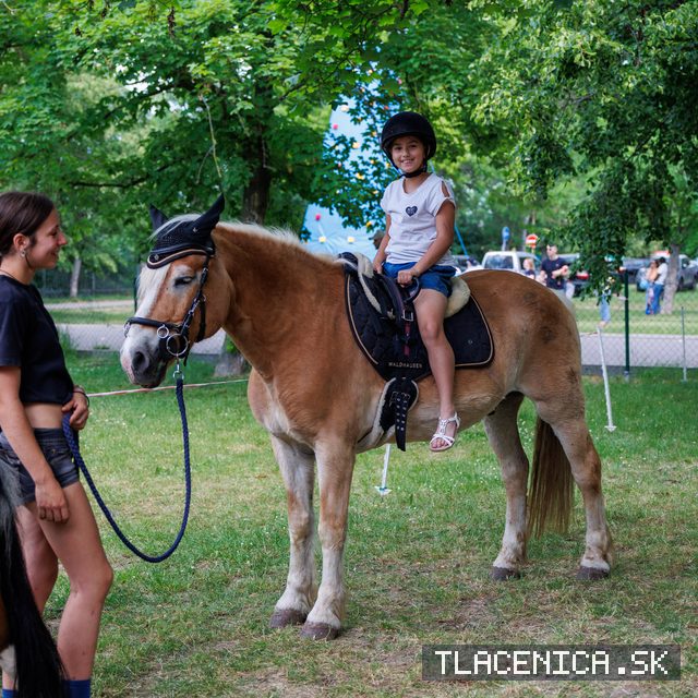 Fotka z galérie Deň detí Senec, sobota