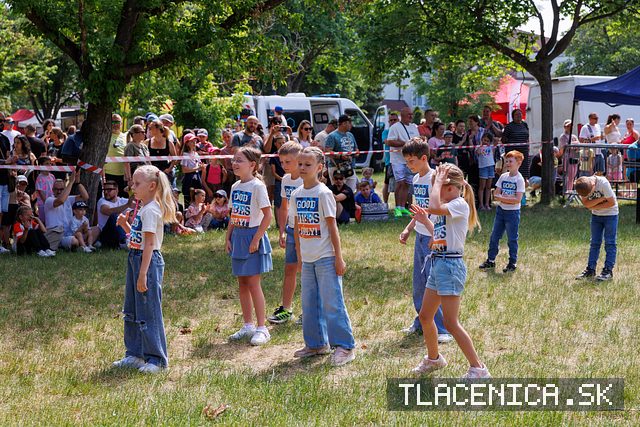 Fotka z galérie Deň detí Senec, nedeľa
