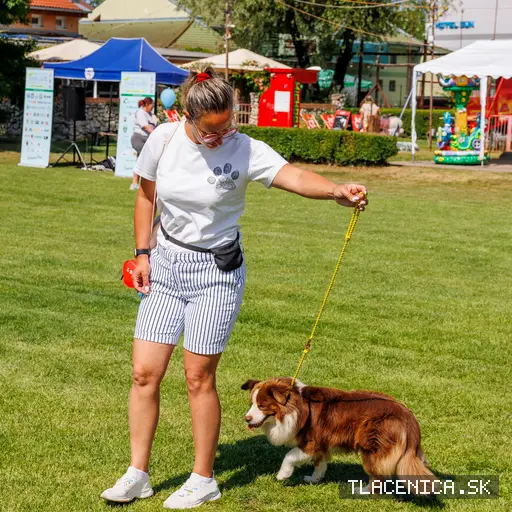 Fotka z galerie Deň detí Senec, sobota