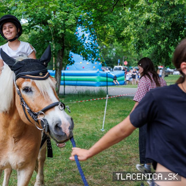 Fotka z galérie Deň detí Senec, sobota