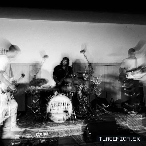 Fotka z galérie Sad LIVE! 2026