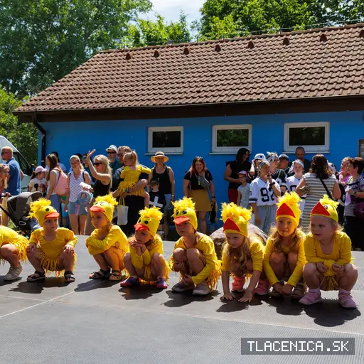 Fotka z galerie Deň detí Senec, nedeľa