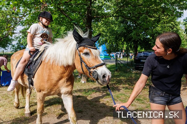 Fotka z galérie Deň detí Senec, sobota