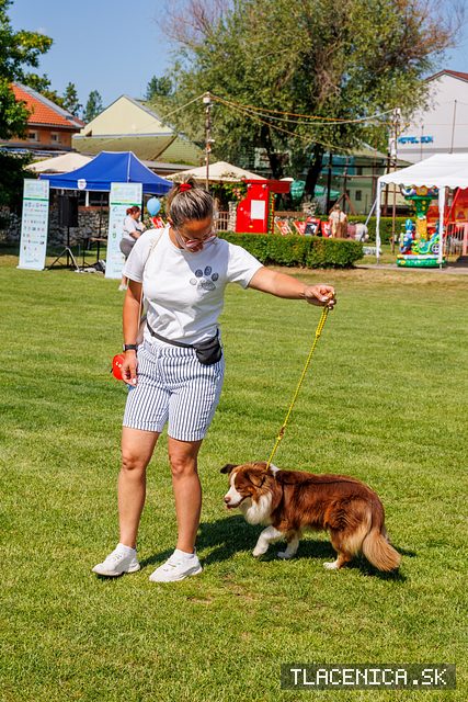 Fotka z galérie Deň detí Senec, sobota