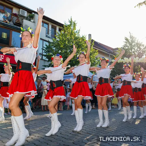 Fotka z galérie Veľký letný karneval 2026, Senec