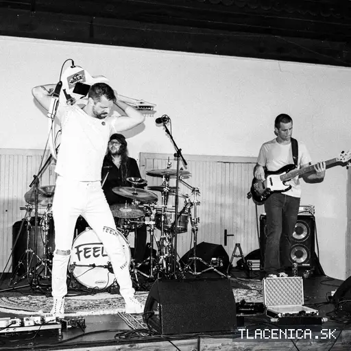 Fotka z galérie Sad LIVE! 2026