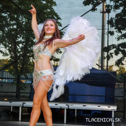 Fotka z galérie Veľký letný karneval 2026, Senec