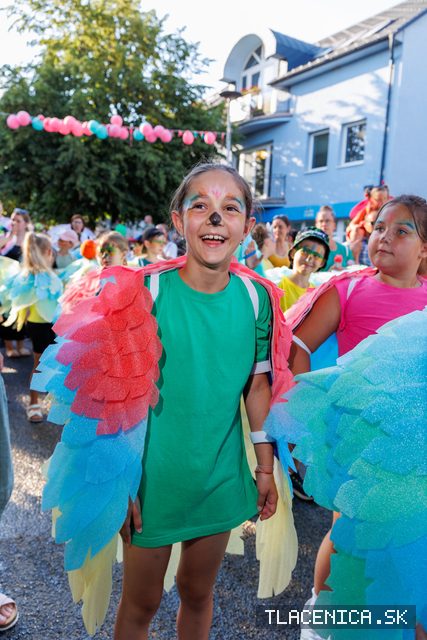 Fotka z galerie Veľký letný karneval 2026, Senec