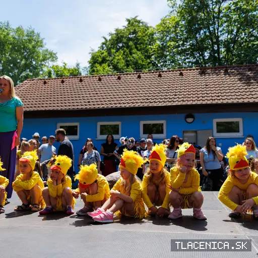 Fotka z galerie Deň detí Senec, nedeľa