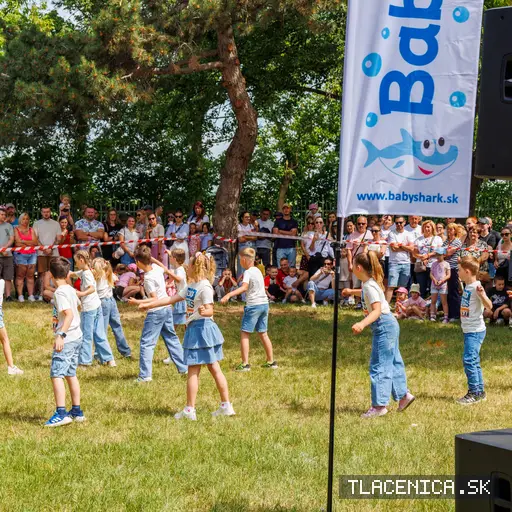 Fotka z galerie Deň detí Senec, nedeľa