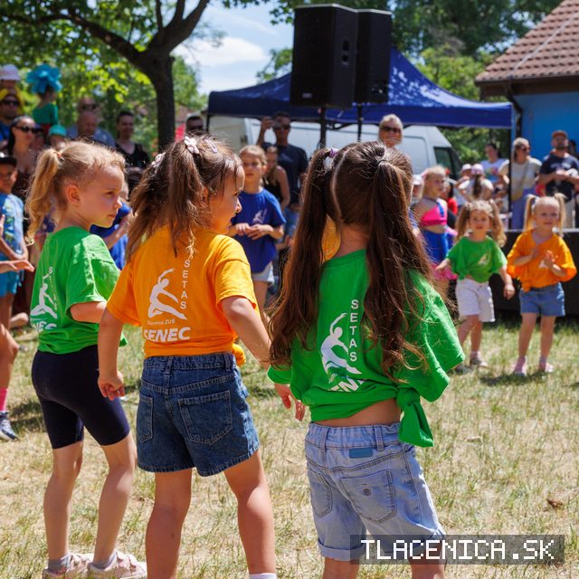 Fotka z galérie Deň detí Senec, nedeľa