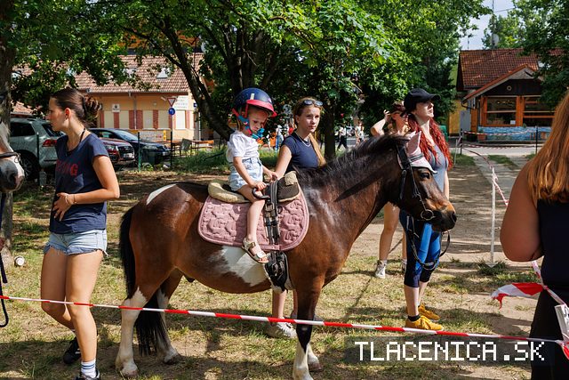 Fotka z galérie Deň detí Senec, sobota
