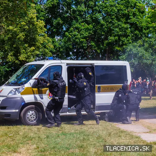 Fotka z galerie Deň detí Senec, nedeľa