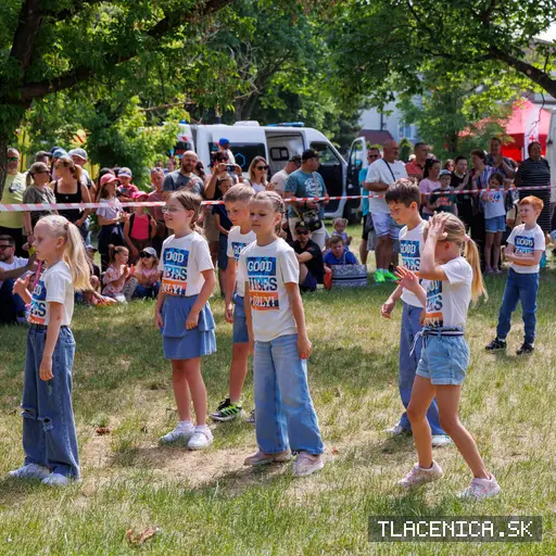 Fotka z galerie Deň detí Senec, nedeľa