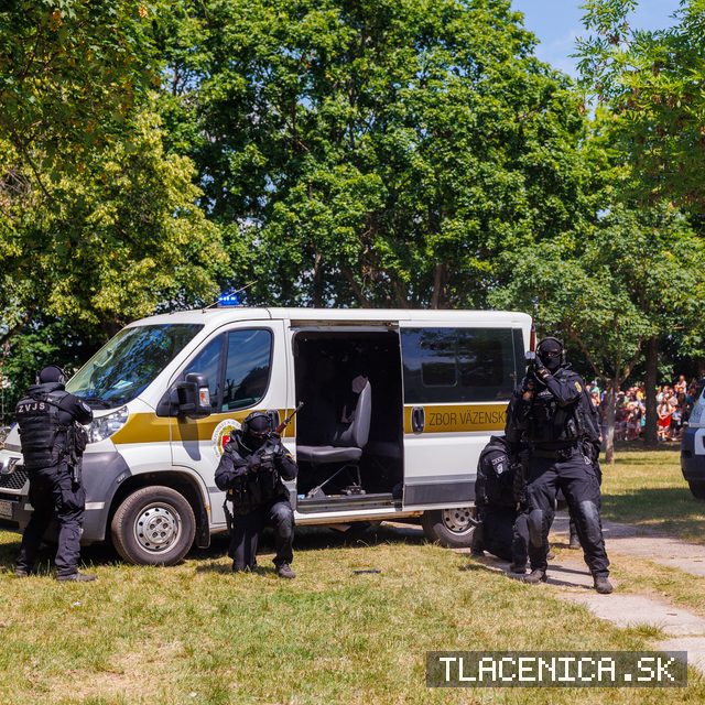 Fotka z galérie Deň detí Senec, nedeľa