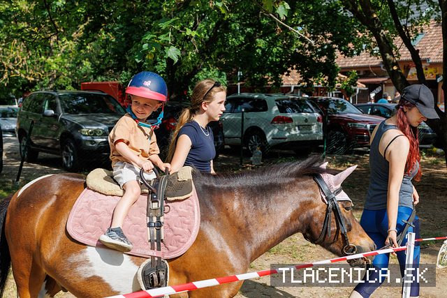 Fotka z galérie Deň detí Senec, sobota