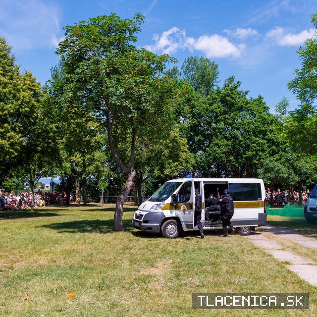 Fotka z galérie Deň detí Senec, nedeľa