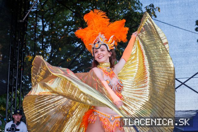 Fotka z galerie Veľký letný karneval 2026, Senec