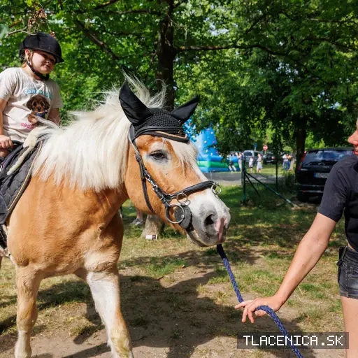 Fotka z galerie Deň detí Senec, sobota