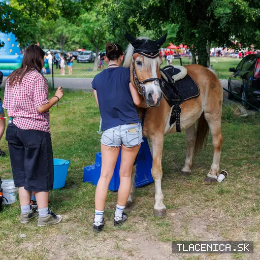 Fotka z galerie Deň detí Senec, sobota