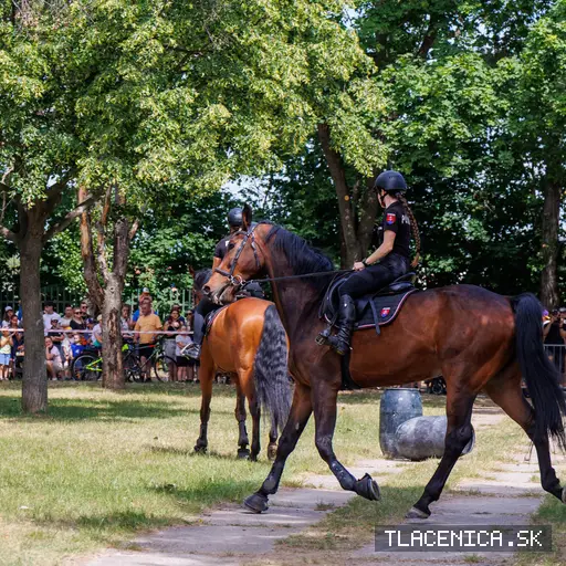 Fotka z galerie Deň detí Senec, nedeľa