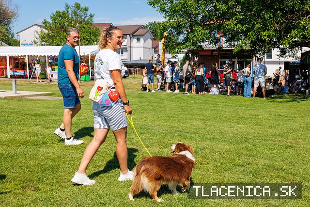Fotka z galérie Deň detí Senec, sobota