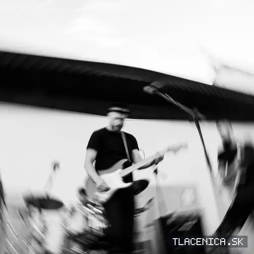 Fotka z galérie Sad LIVE! 2026