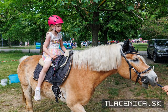 Fotka z galérie Deň detí Senec, sobota