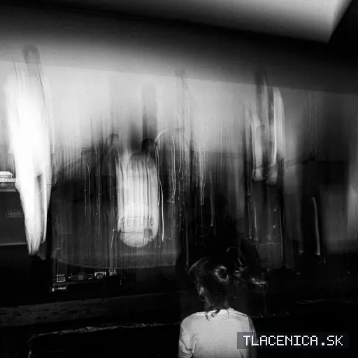 Fotka z galérie Sad LIVE! 2026