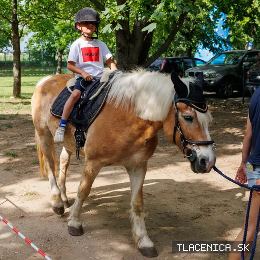 Fotka z galerie Deň detí Senec, sobota