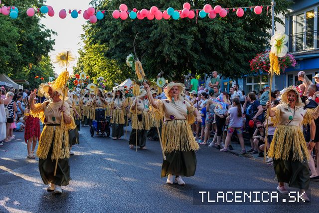 Fotka z galerie Veľký letný karneval 2026, Senec