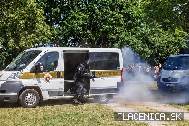 Fotka z galérie Deň detí Senec, nedeľa