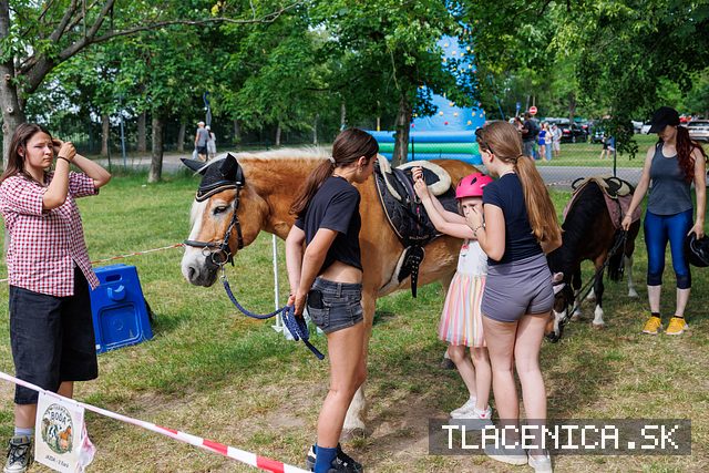 Fotka z galérie Deň detí Senec, sobota